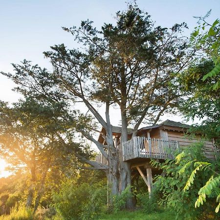 La Gree Des Landes - Eco-Hotel-Spa Yves Rocher La Gacilly Bagian luar foto