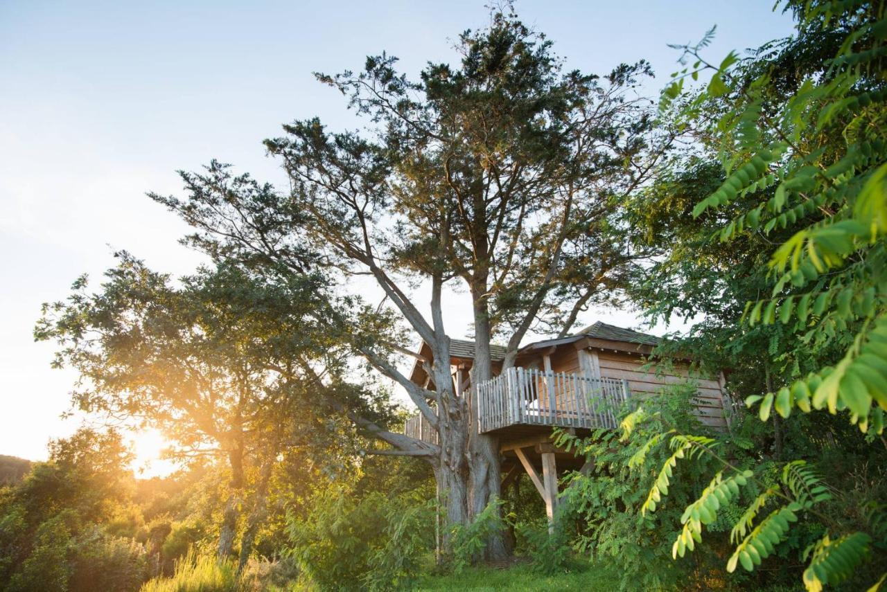 La Gree Des Landes - Eco-Hotel-Spa Yves Rocher La Gacilly Bagian luar foto